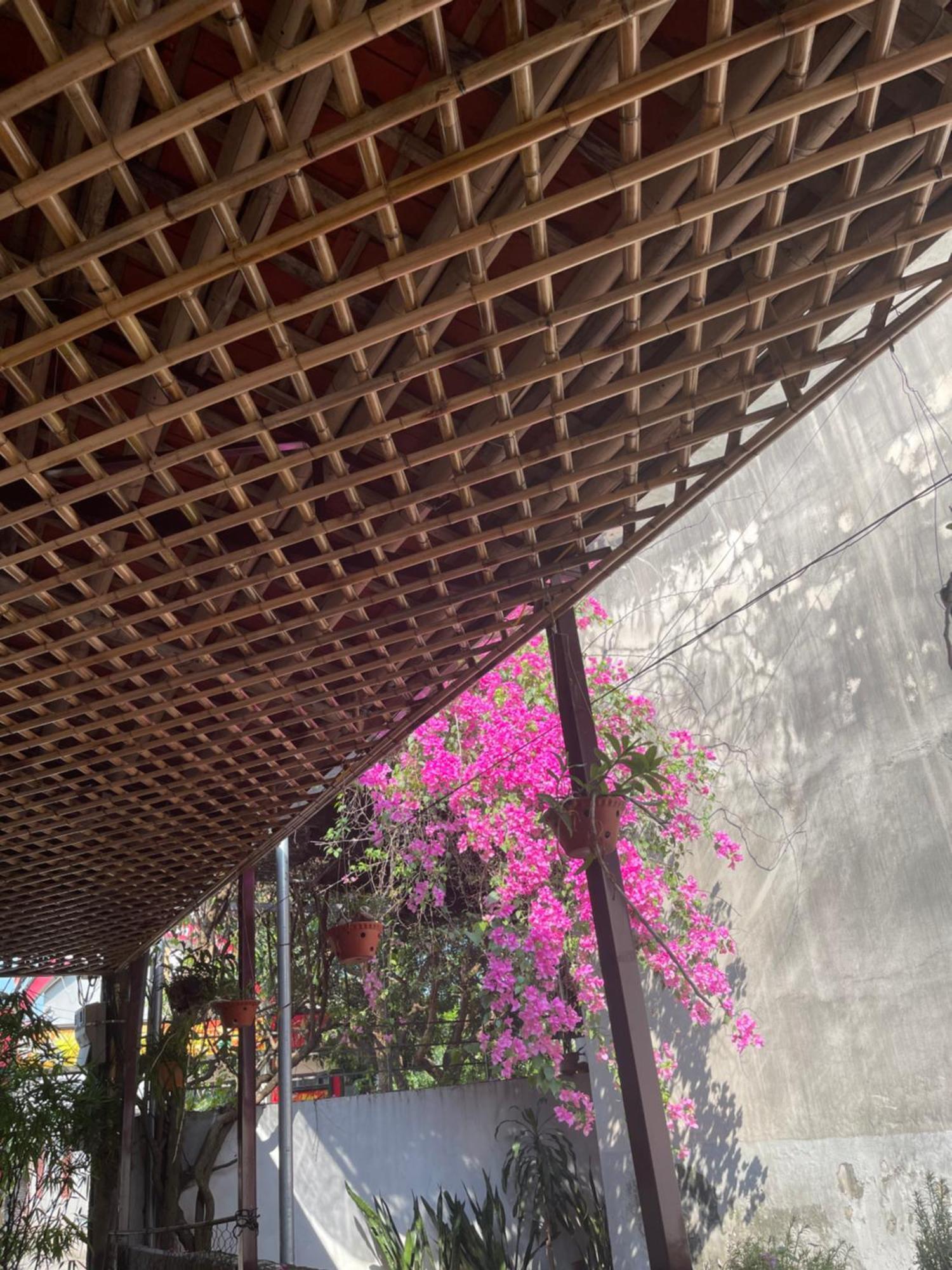 Thuy Xuyen Tam Coc Homestay Vu Lam Екстериор снимка