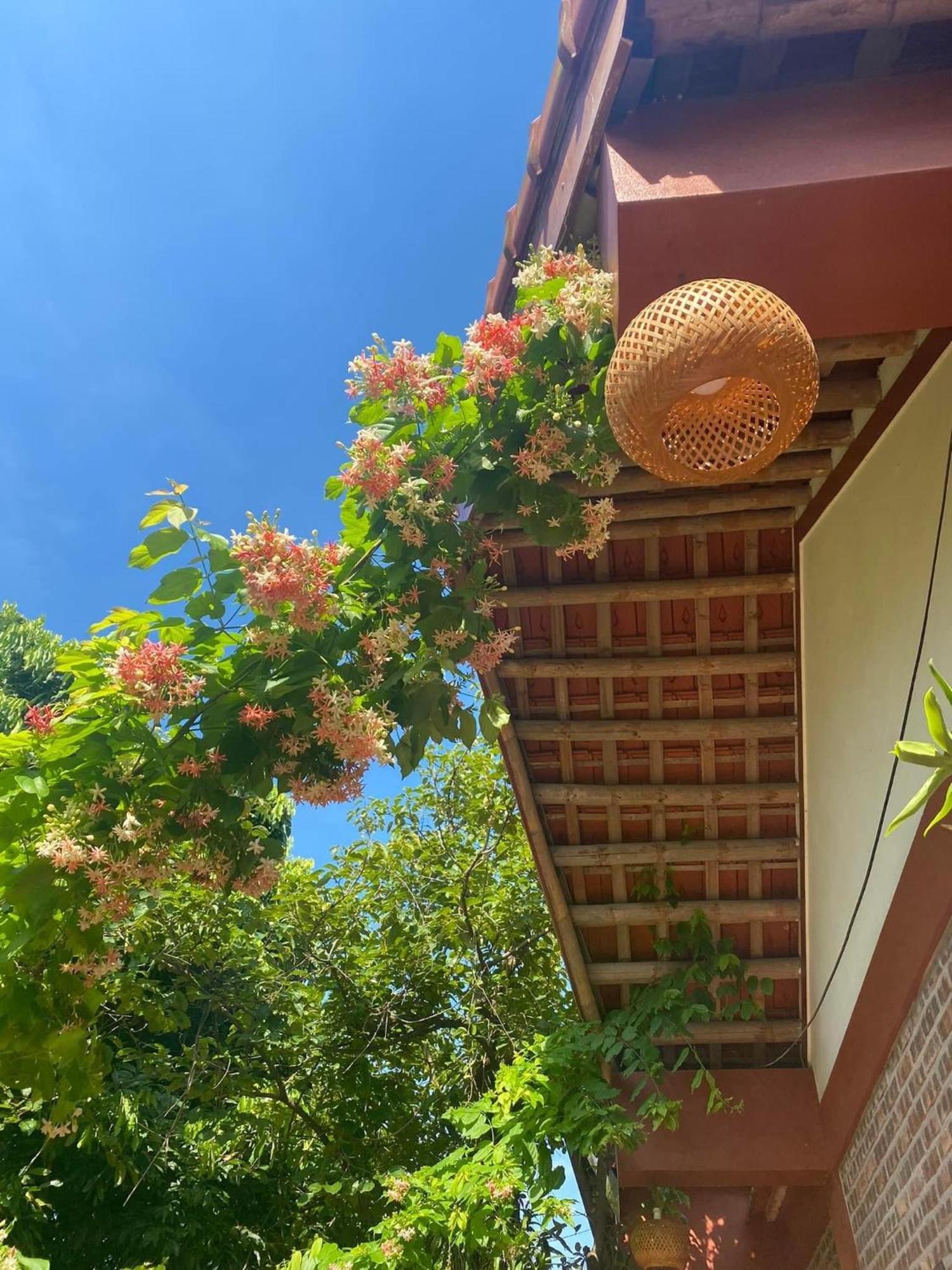 Thuy Xuyen Tam Coc Homestay Vu Lam Екстериор снимка